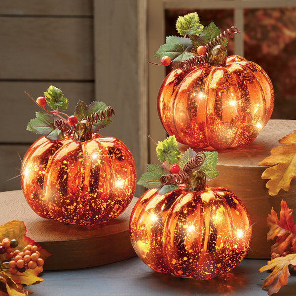 The Holiday Aisle® 3 Piece Annaliese Lighted Harvest Pumpkin Decorative